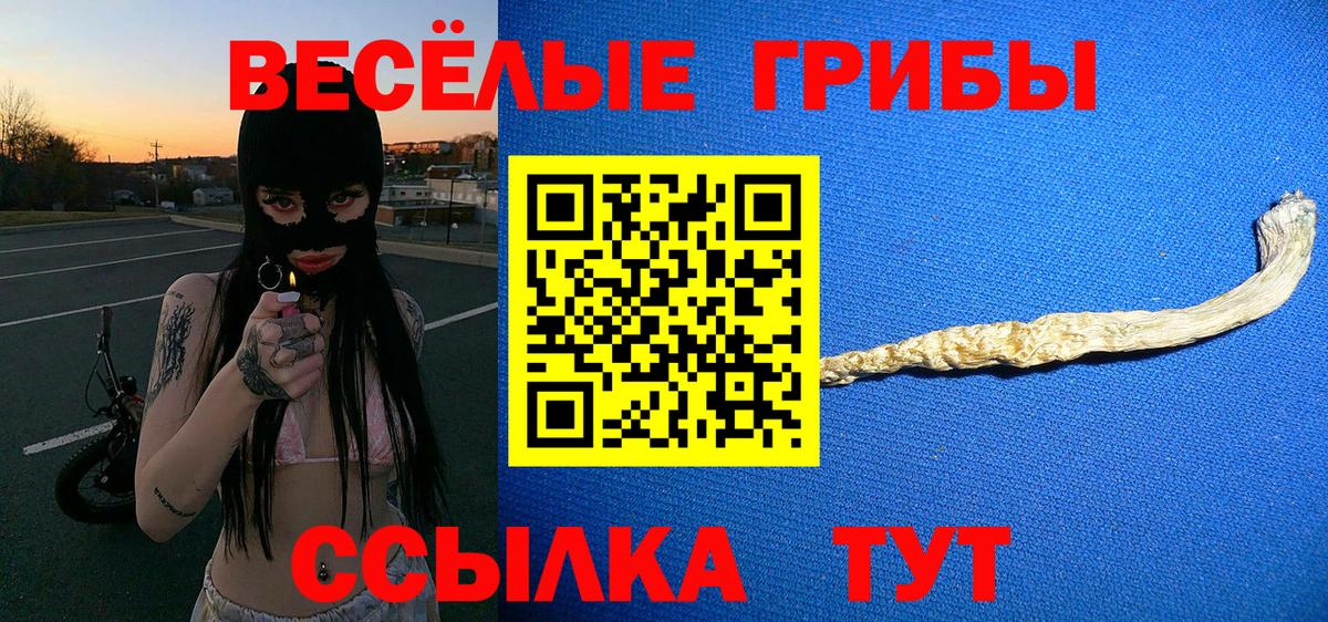 Псилоцибиновые грибы прущие грибы  Вход с VPN  хочу   Еманжелинск 